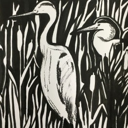 Reiger in het riet