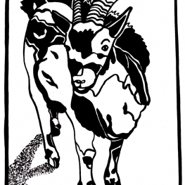 bok