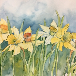 narcissen-challenge 4