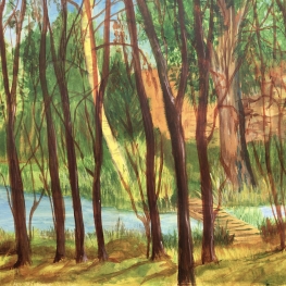 bomen in Sapogne-sur-Marche /Jarden des arbres