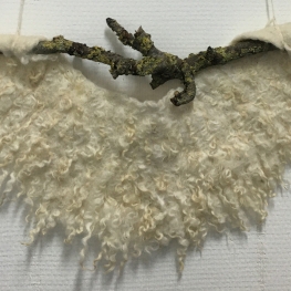 witte appelboom kraag