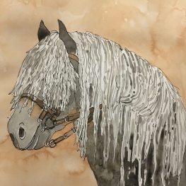 manenpaardje