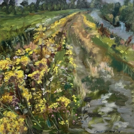 Jakobskruiskruid en hazen