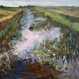       Waterlelies en Hazen