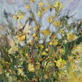 Vlinderdans in koolzaad 