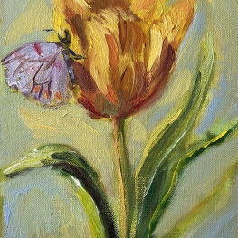 Tulp met vlinder / Verlangen 