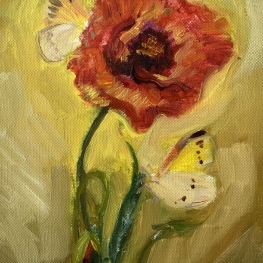 Klaproos met vlinders