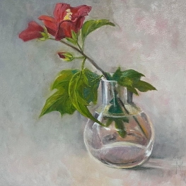 Hibiscus 