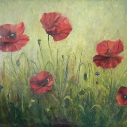 Boven het maaiveld (klaprozen)