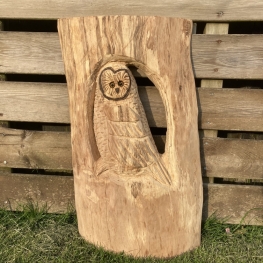 Uil in hout