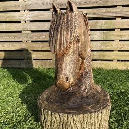 Paardenhoofd