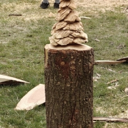 Kerstboom