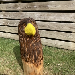 Roofvogel hoofd