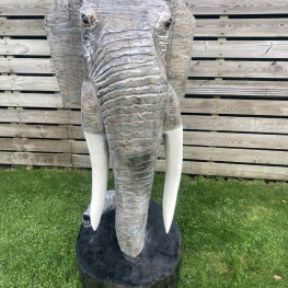 Olifant geverfd