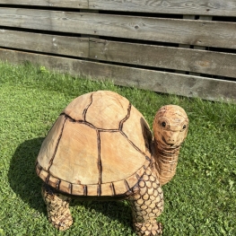 Schildpad