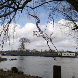 Grote zilverreiger II