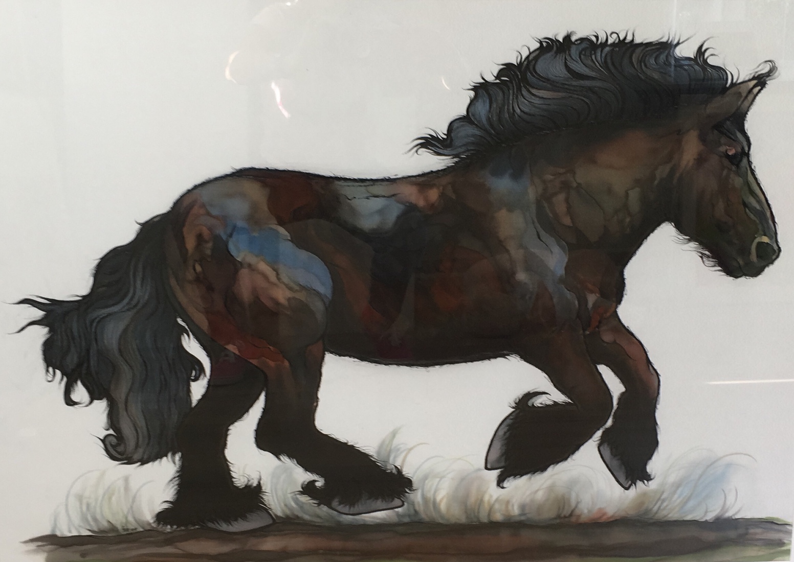 Galopperende Zeeuws Paard