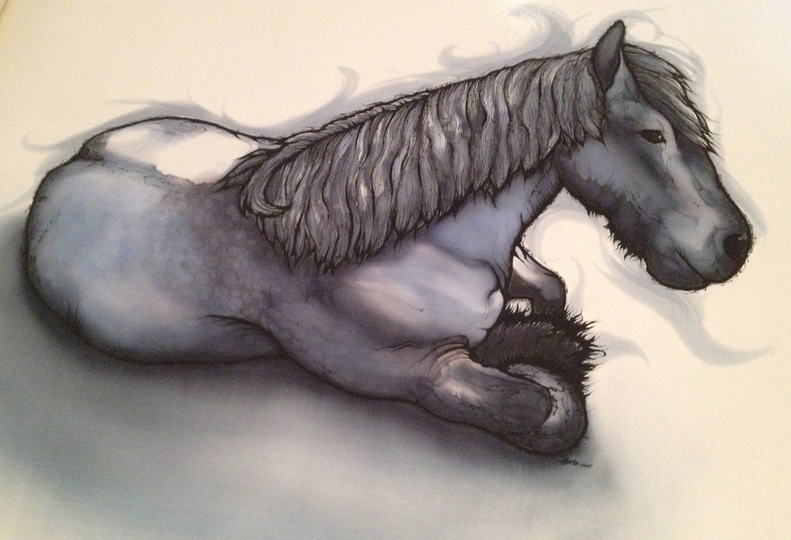 Liggend Zeeuws Paard