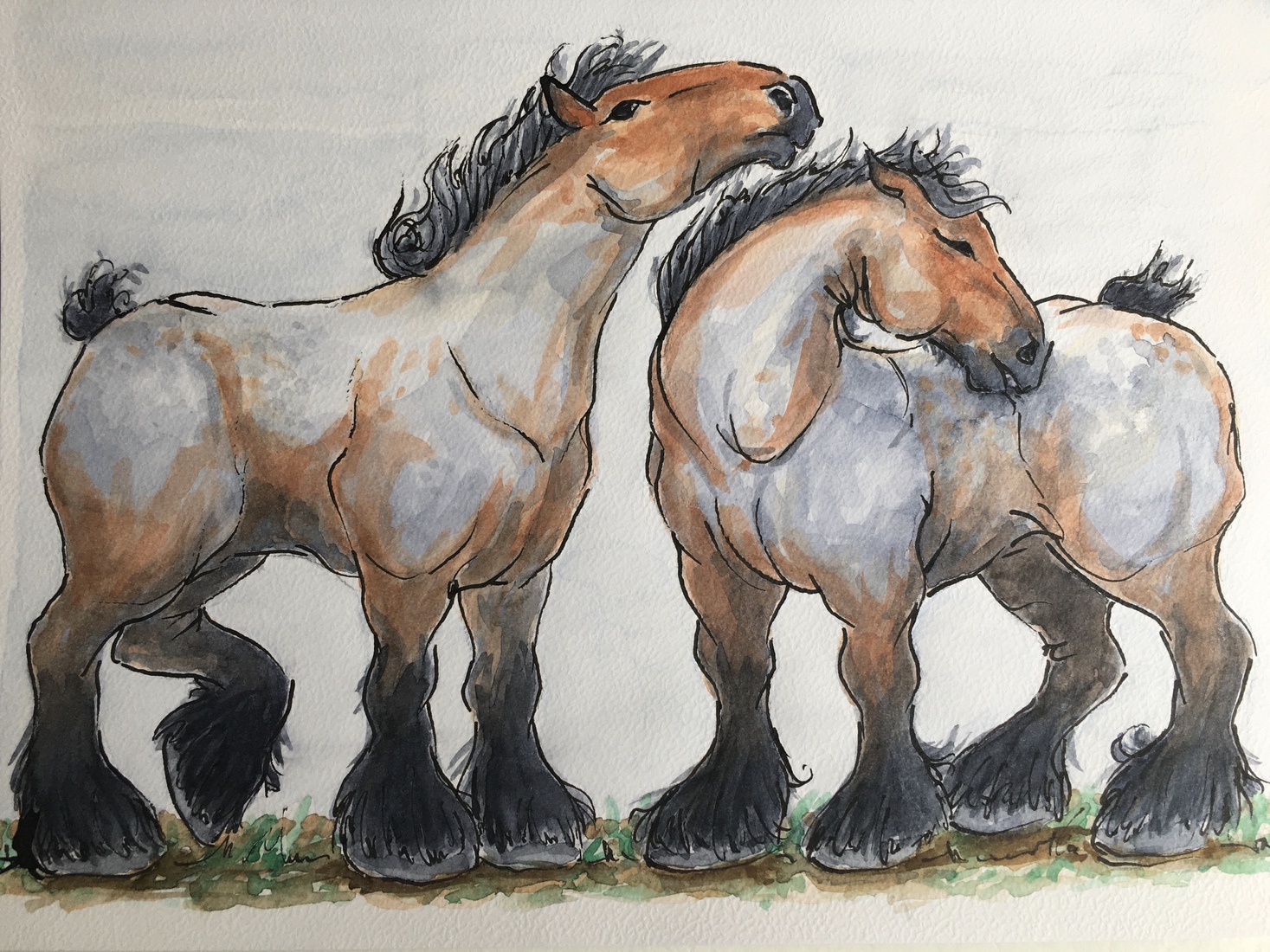 Twee Zeeuwse Paarden  