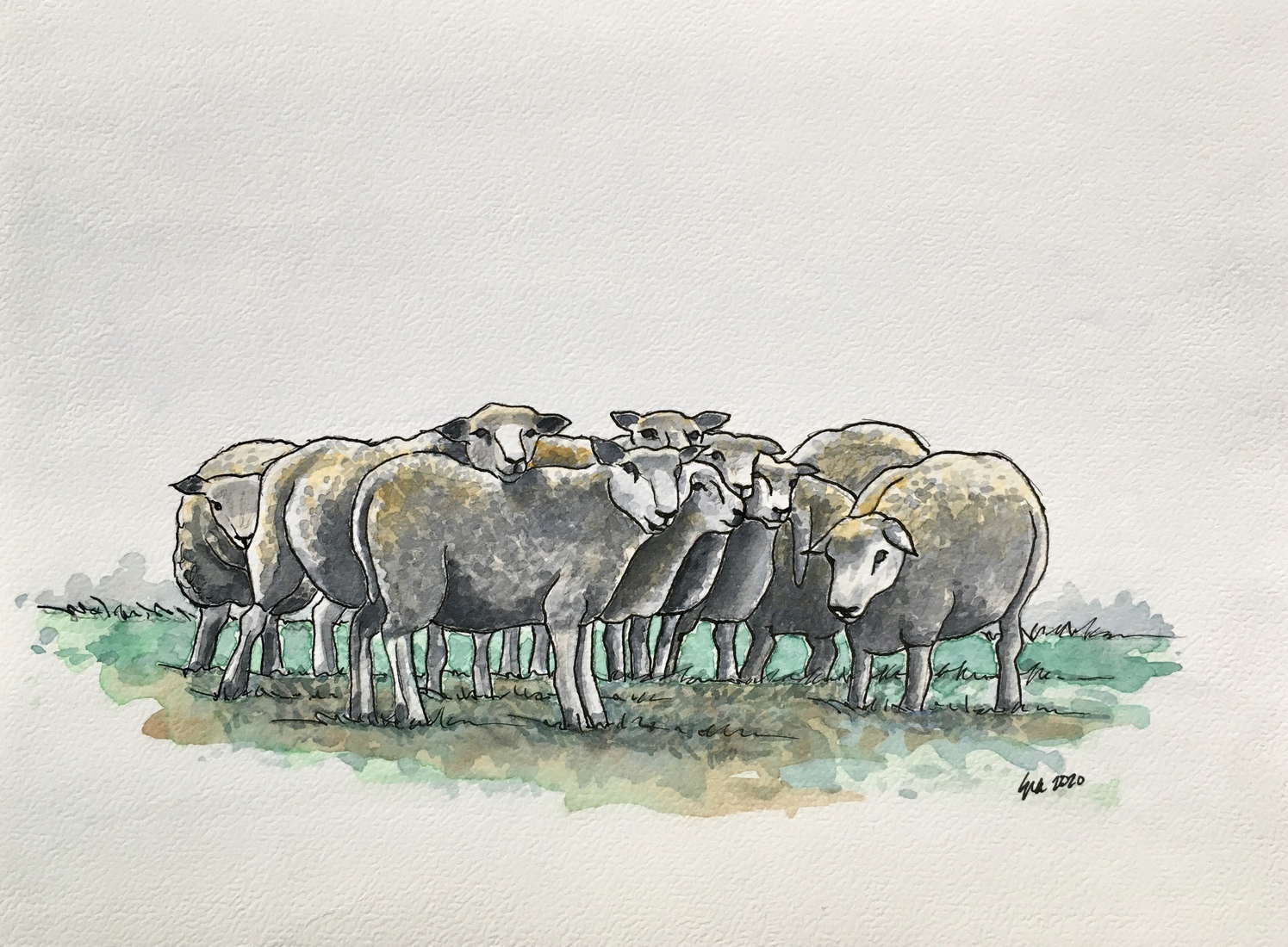 Zonnemaire, Stapelsweg met schapen 