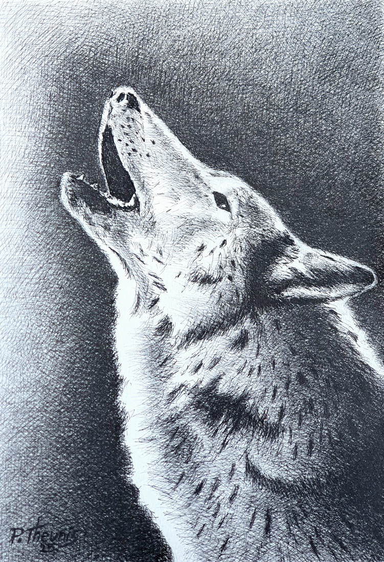 Howling Wolf In Profile
