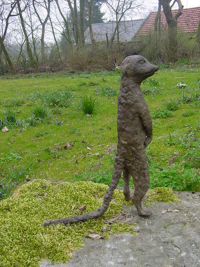 Stokstaartje