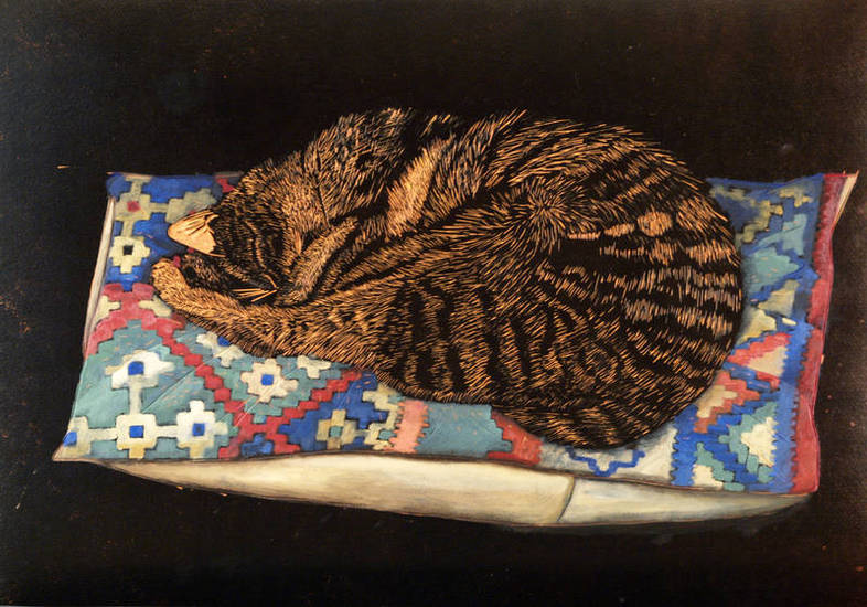 kat op kussen