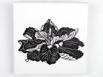 Bloemen serie