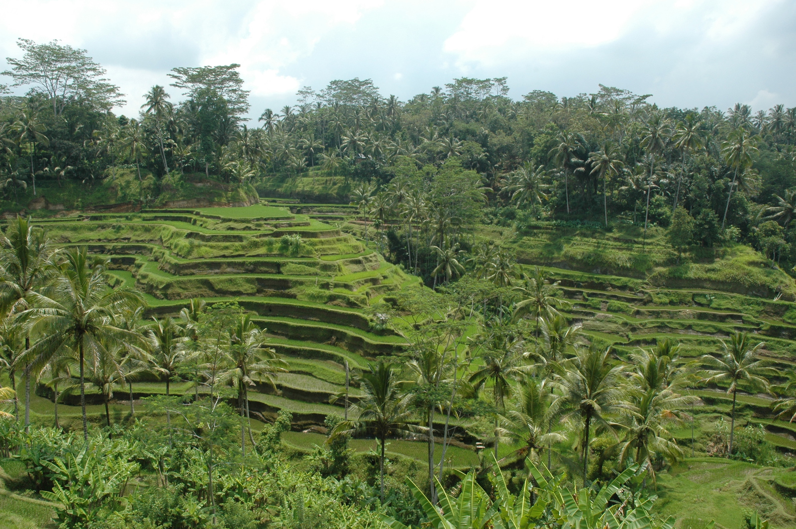 Voorbeeld Youtube video bij een werk