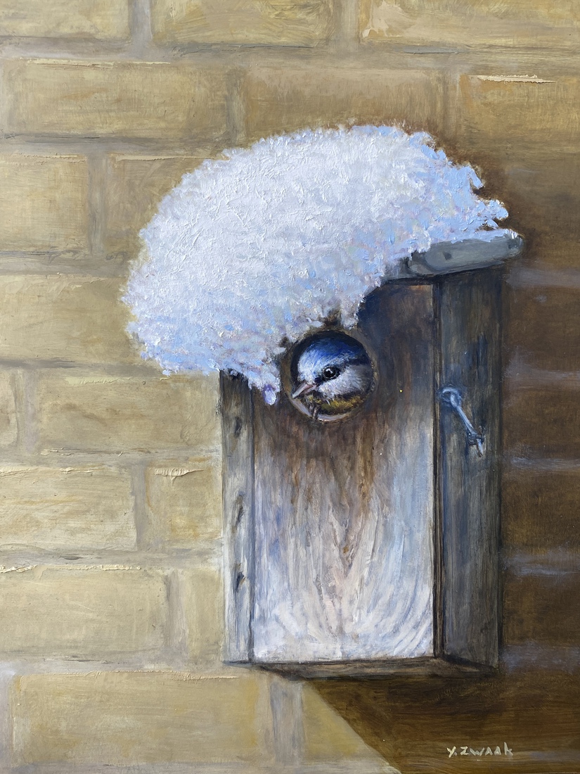 Vogelhuisje met pimpelmees