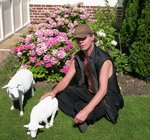 Dit zijn de laatst gemaakte drie werken.