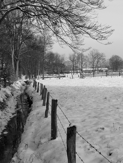 hekwerk in landschap