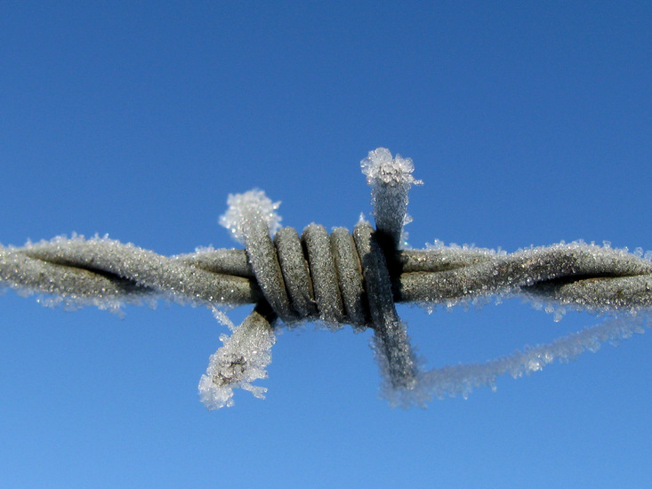 ijzig prikkeldraaid