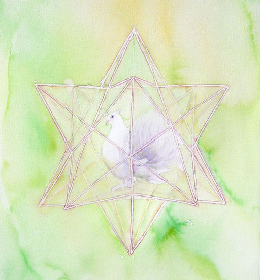 12 puntige ster met Duif