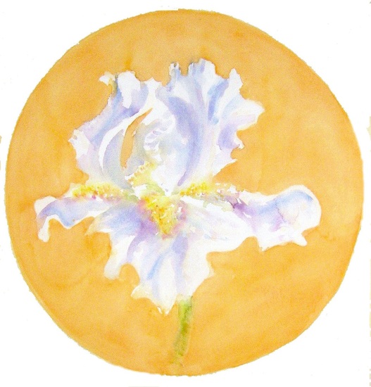 Witte Iris met Gouden Zon