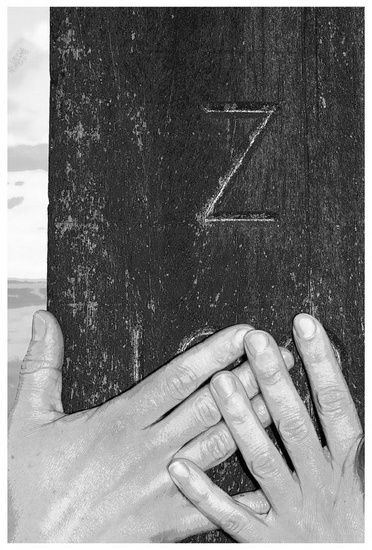 5 - Z.