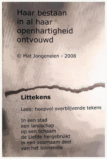 1 - Littekens.
