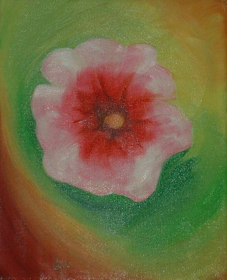 Bloom