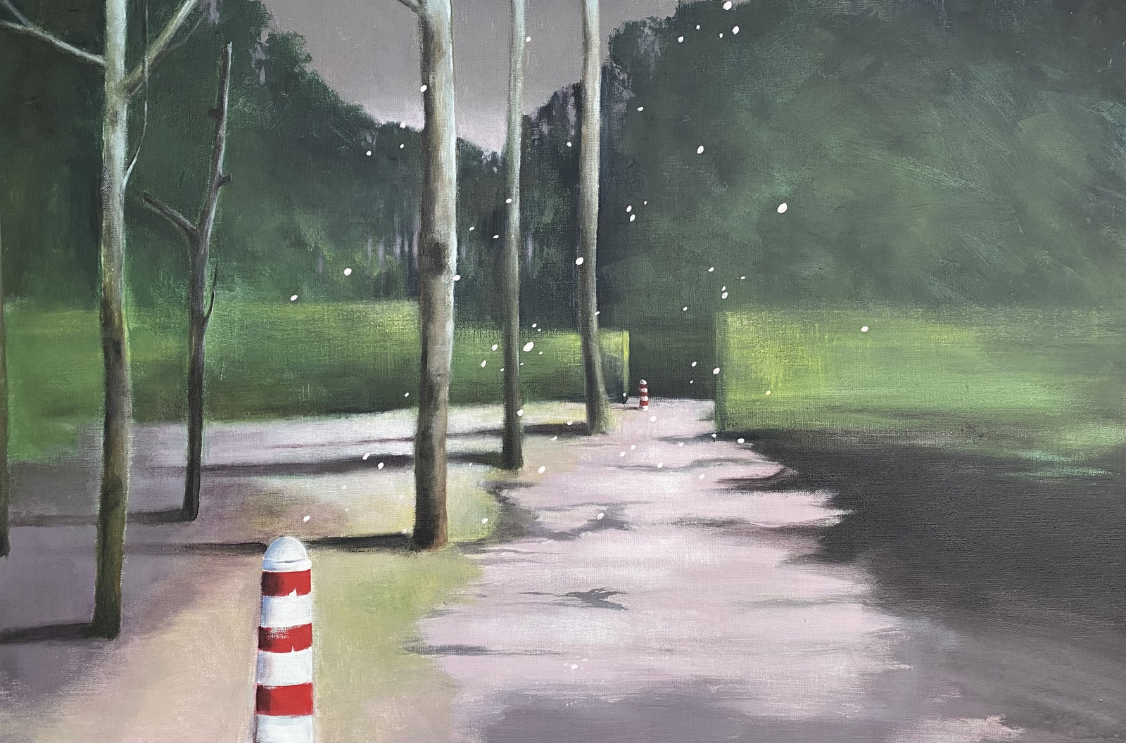 Bloesemregen