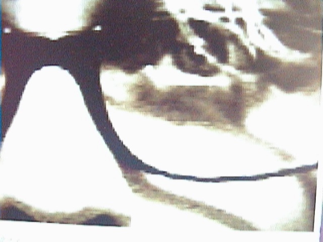 Paul tas