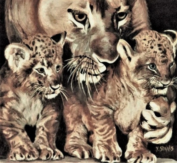 Tijgertjes geboren in Artis