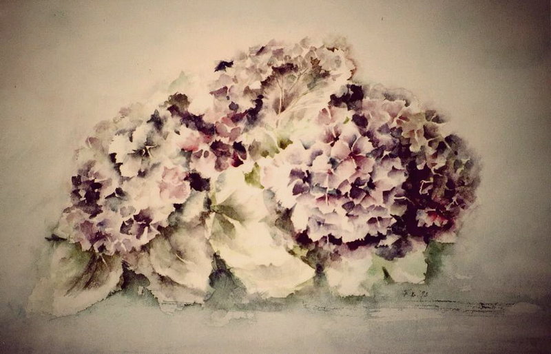 Hortensias - N.T.K.
