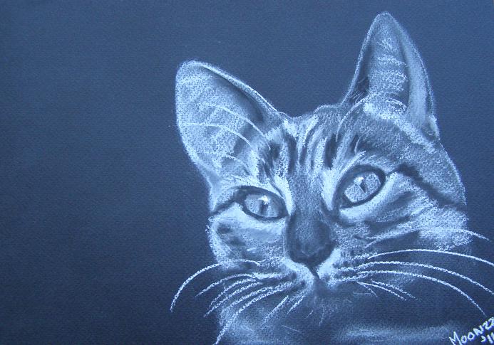 i thought i saw a pussycat