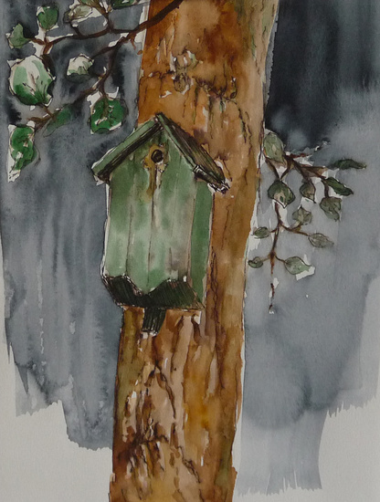 Vogelhuisje in Populier