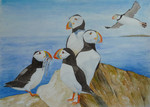 Aquarel