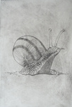 Grafiek