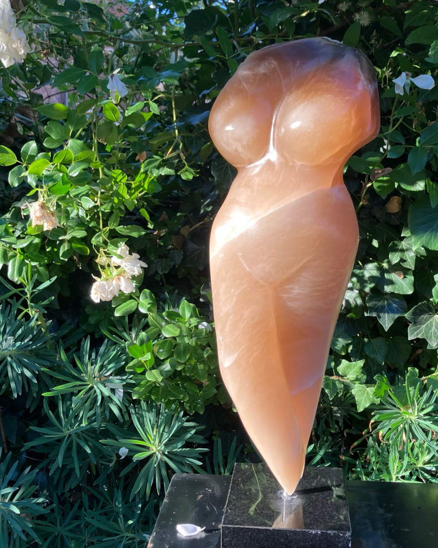 vrouwen torso