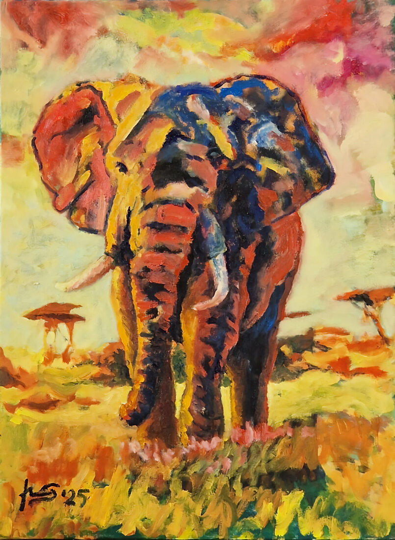 afrikaanse olifant