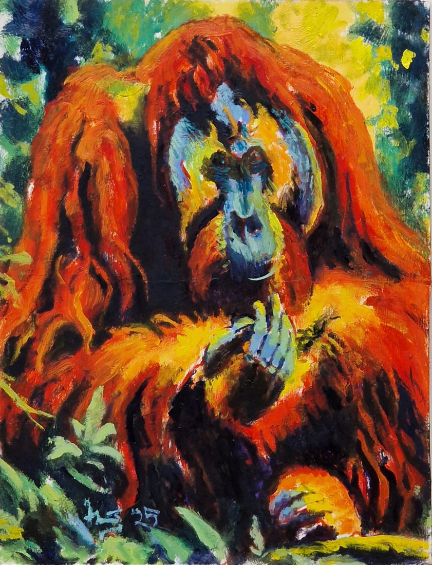 Orang Oetan