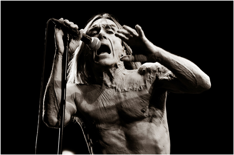 Iggy Pop